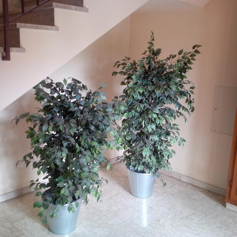 شقة Casa Venturi سْكانديتْشي المظهر الخارجي الصورة